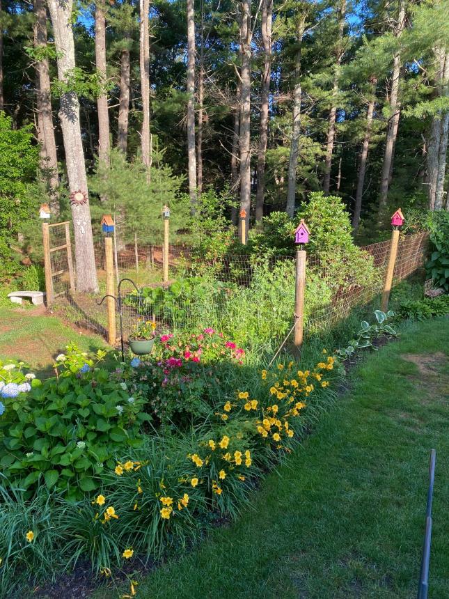 Ed Z's garden